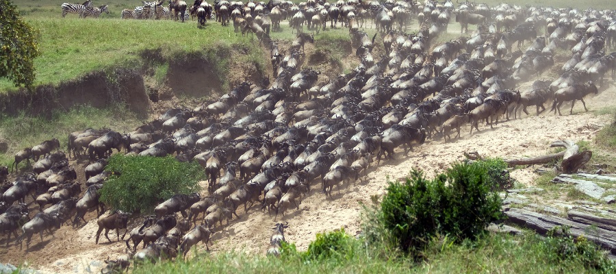 4-Day Safari & Hot Air Balloon