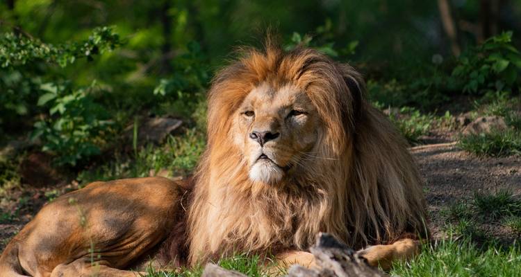 2-Day Arusha National Park