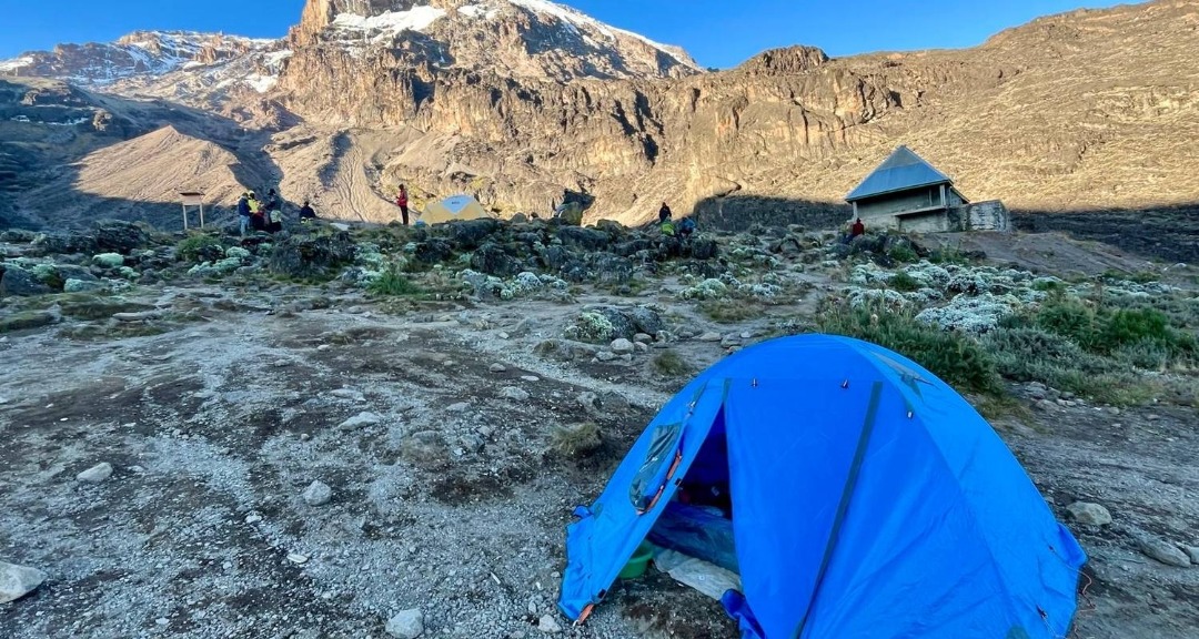 Lemosho Route Kilimanjaro Trek
