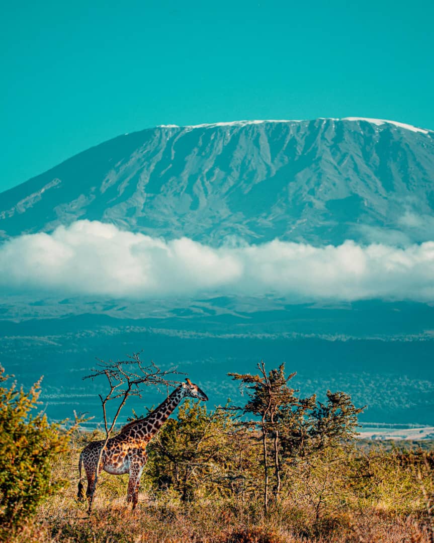 Lemosho Route image 3