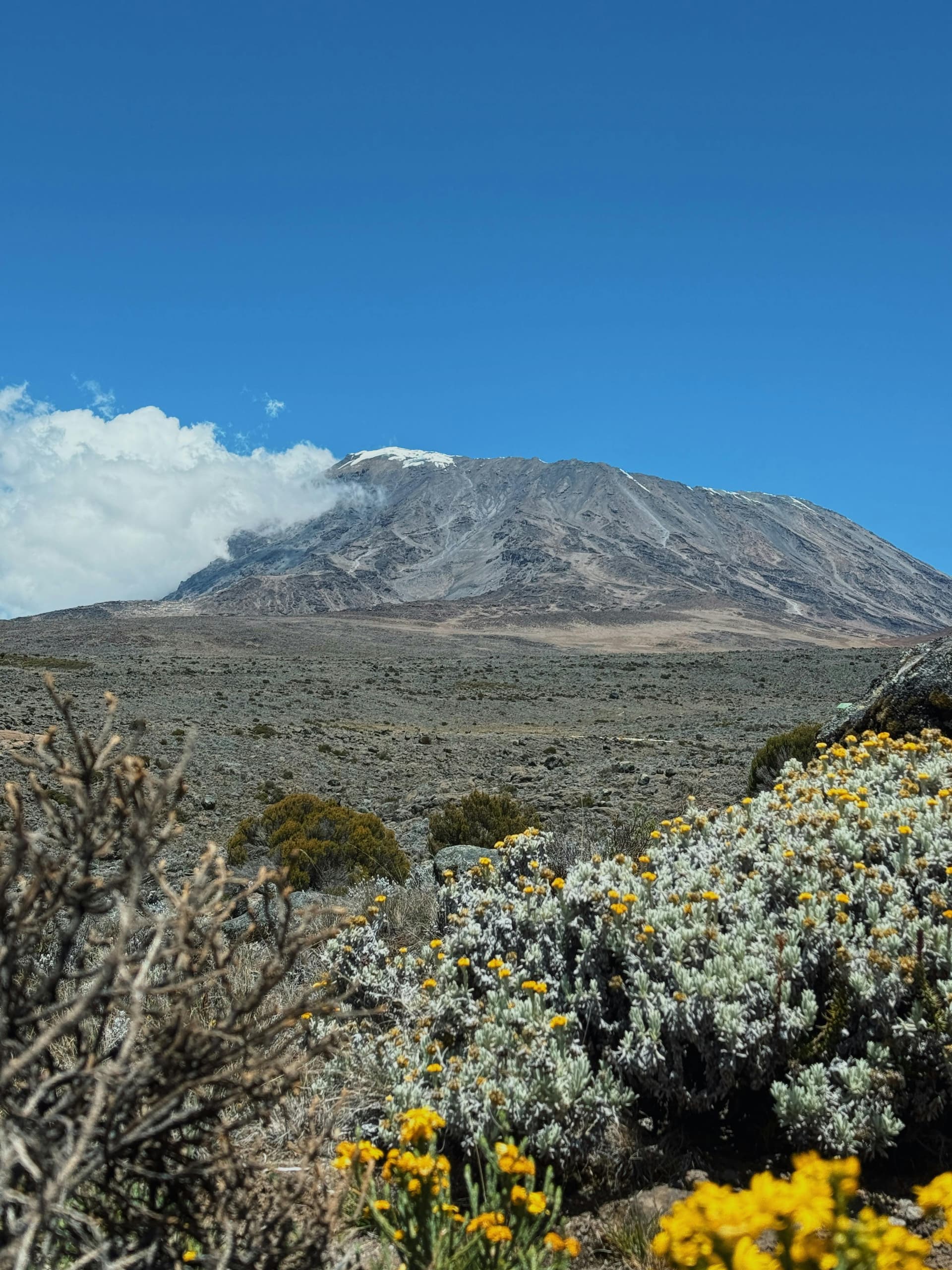 Kilimanjaro camp