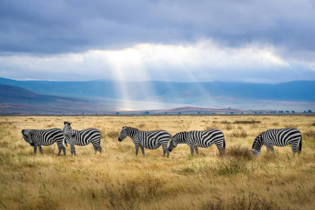 3-Day Ngorongoro Crater Tour