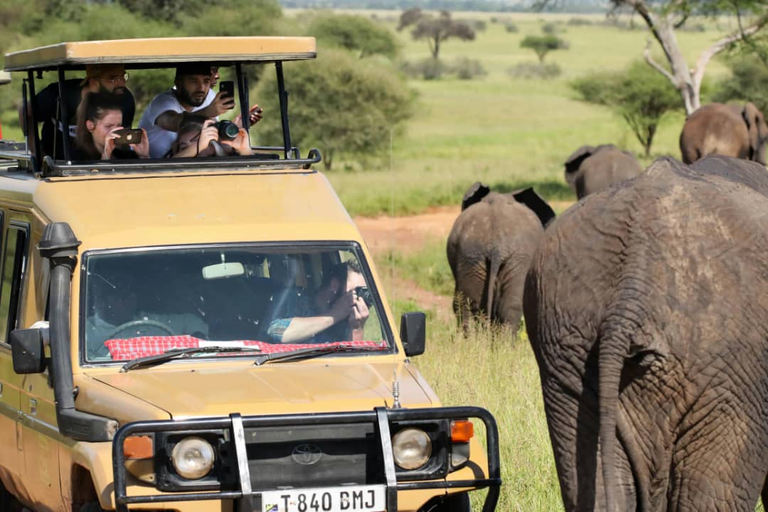 Northern Circuit Safari image 3