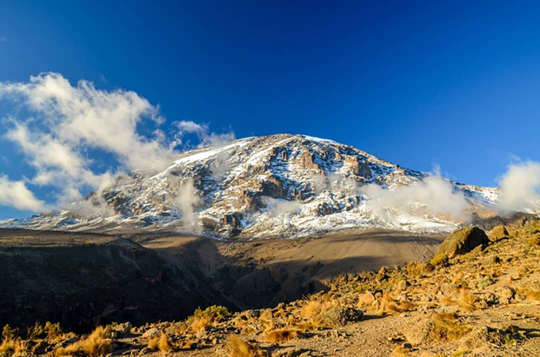 Shira Route Kilimanjaro Trek