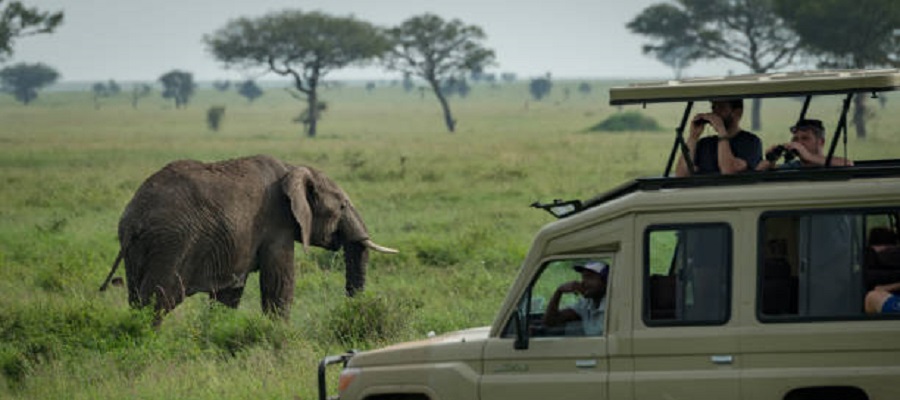 3-Day Mikumi Safari