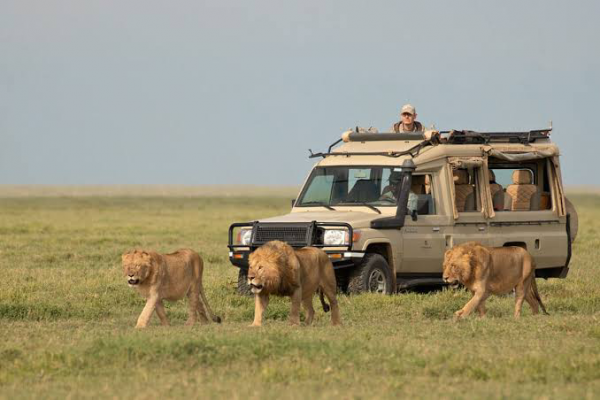 3-Day Selous Game Reserve
